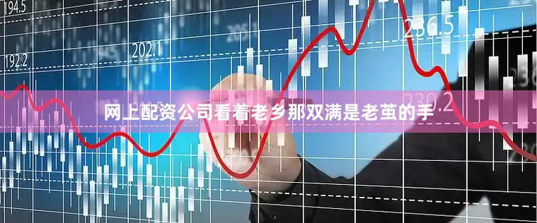 网上配资公司看着老乡那双满是老茧的手