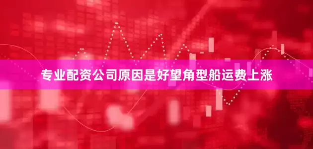 专业配资公司原因是好望角型船运费上涨