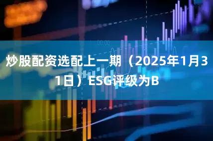 炒股配资选配上一期（2025年1月31日）ESG评级为B