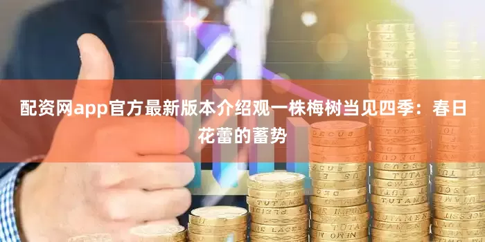 配资网app官方最新版本介绍观一株梅树当见四季：春日花蕾的蓄势
