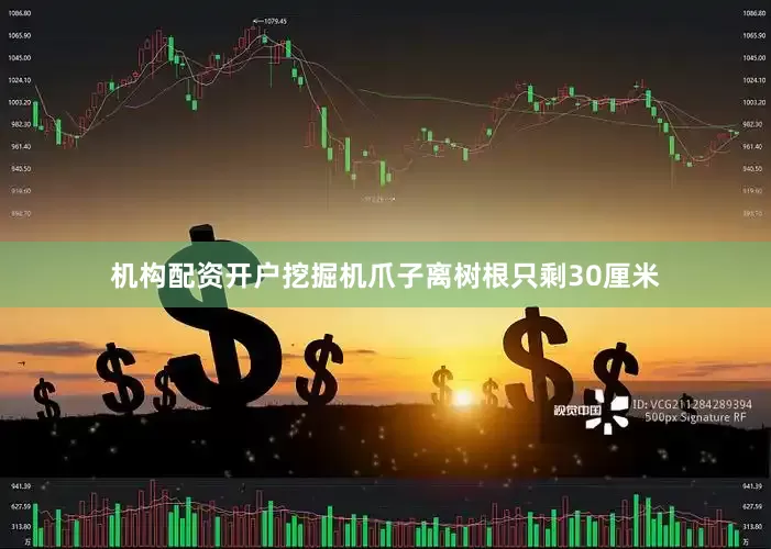 机构配资开户挖掘机爪子离树根只剩30厘米